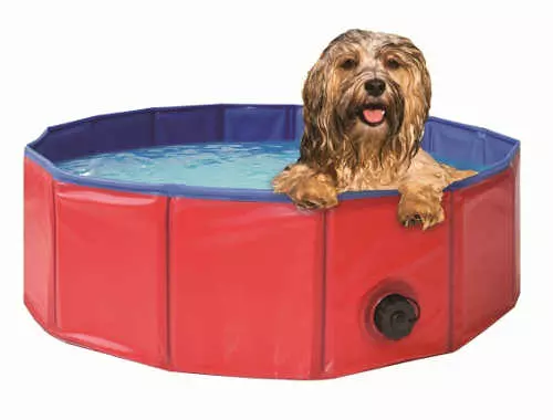 Skladací bazén na kúpanie psa